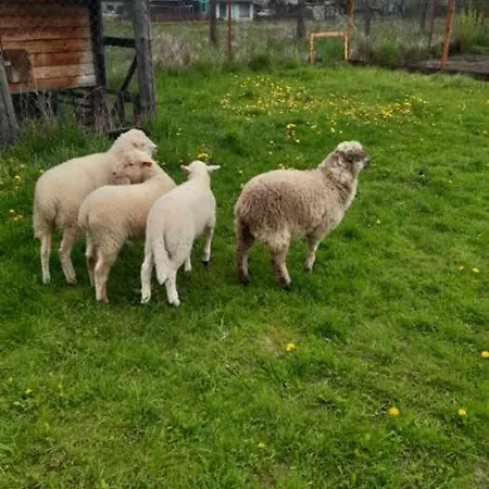 Relax Marianka Pensjonat